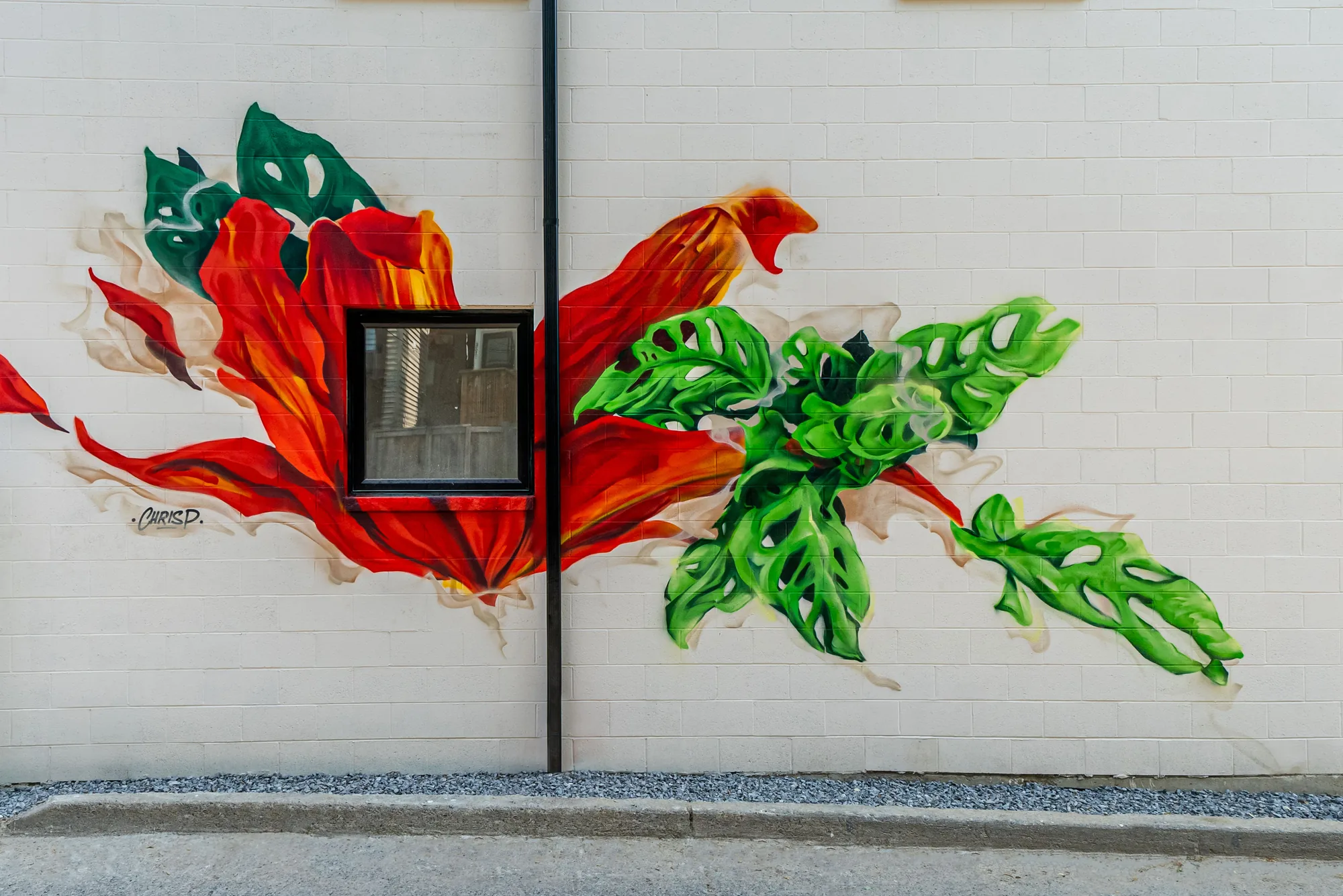 367 Howland — laneway mural detail